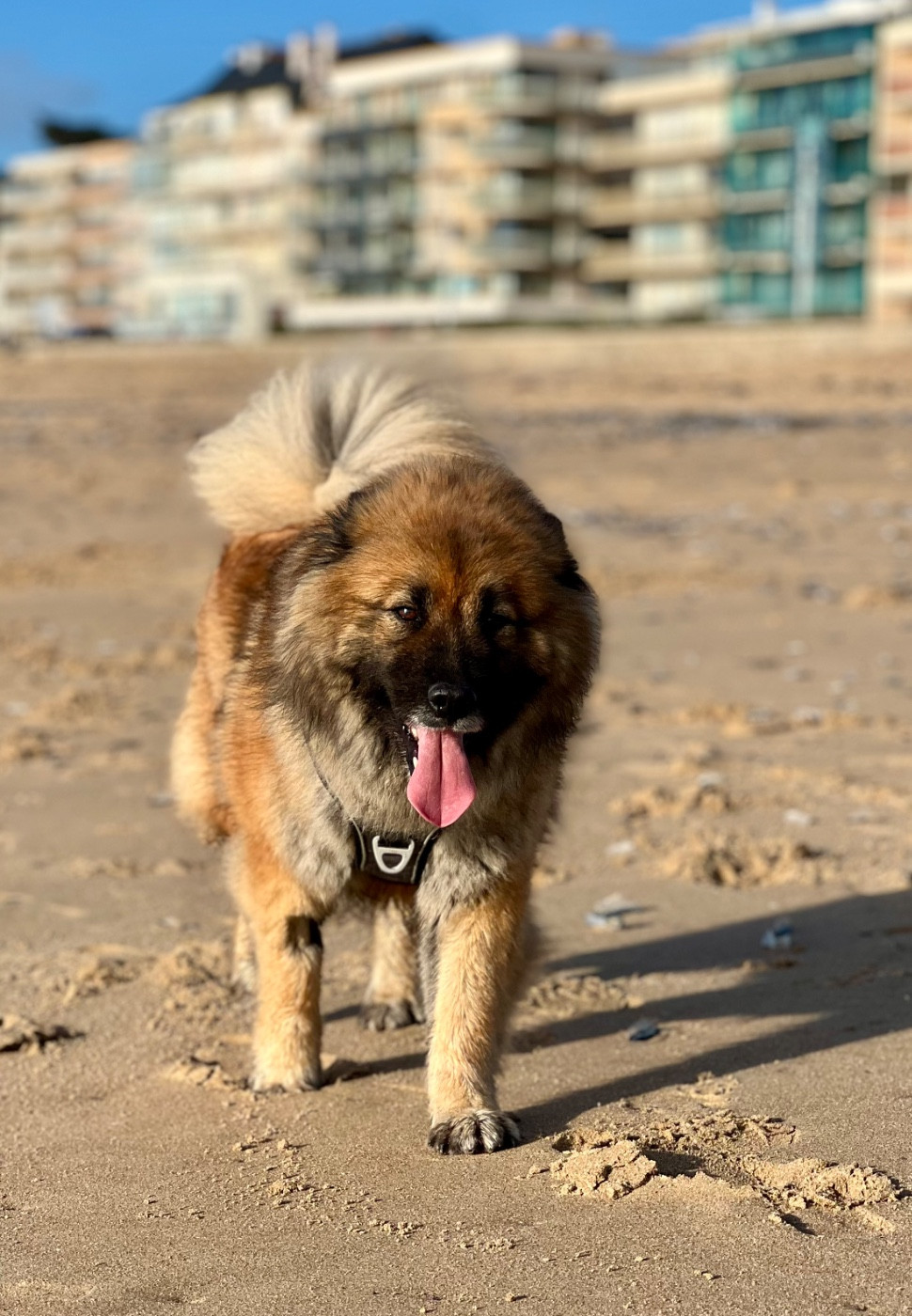 Solya des Legendes de Retz